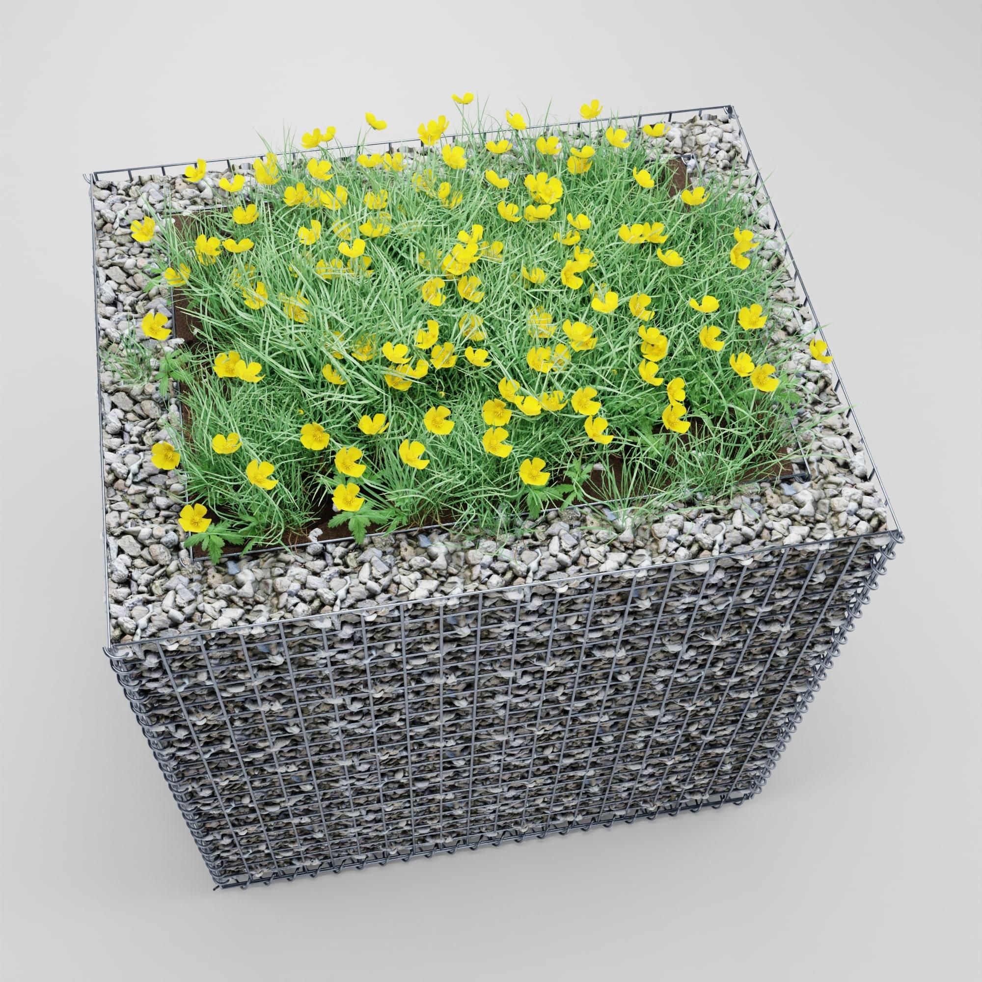 Højbed firkantet 100 cm x 80 cm x 100 cm (L x H x D), maskestørrelse 5 x 5 cm, vægtykkelse 10 cm