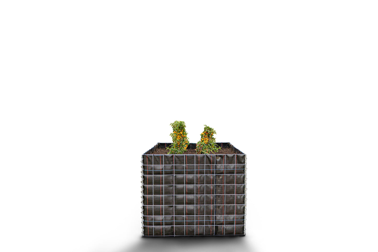 Canteiro quadrado elevado sem pedras 100 cm x 80 cm x 100 cm