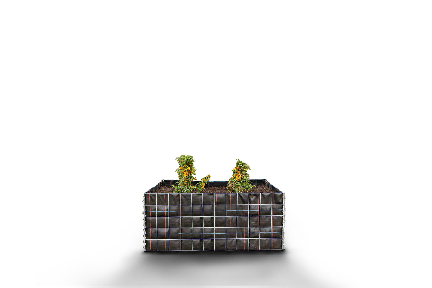 Rechthoekig verhoogd bed zonder stenen - Lengte: 120 cm - Hoogte: 50 cm - Diepte: 50 cm - Maaswijdte: 10 x 10 cm