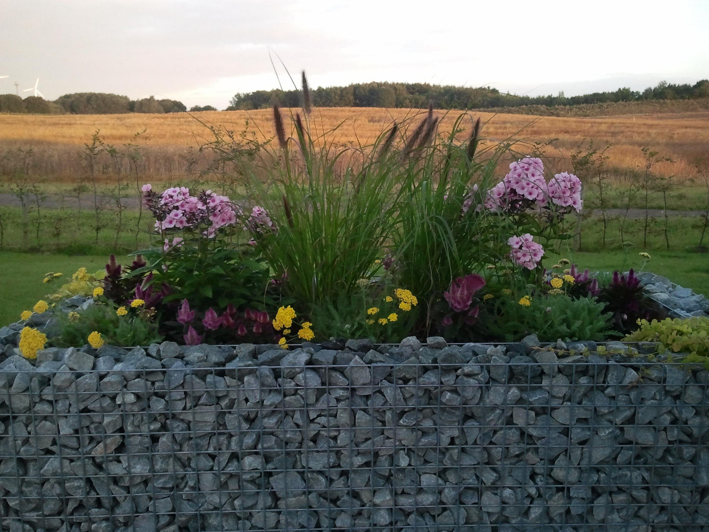 Højbed firkantet 200 cm x 100 cm x 100 cm (L x H x D), maskestørrelse 5 x 5 cm, vægtykkelse 10 cm