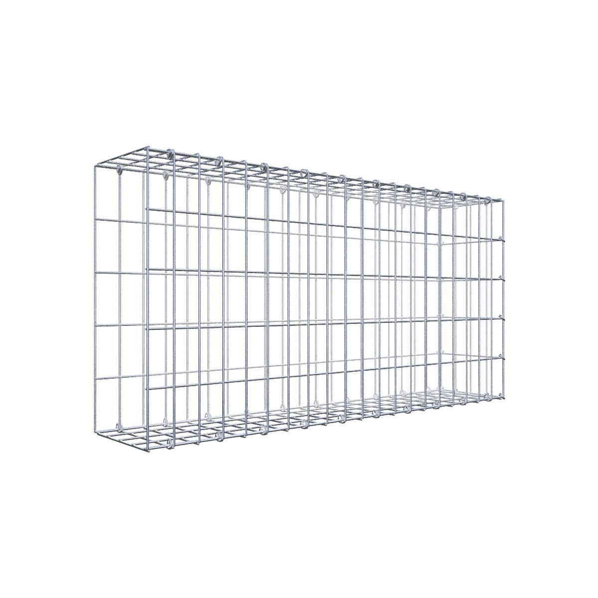 Gabione 05x10 100x050x020 Typ2 C-Ring