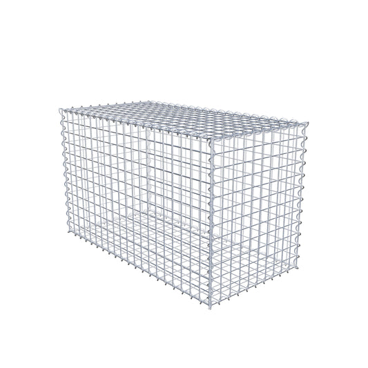 Gabbione 100 cm x 60 cm x 50 cm (L x H x P), maglia 5 cm x 5 cm, spirale