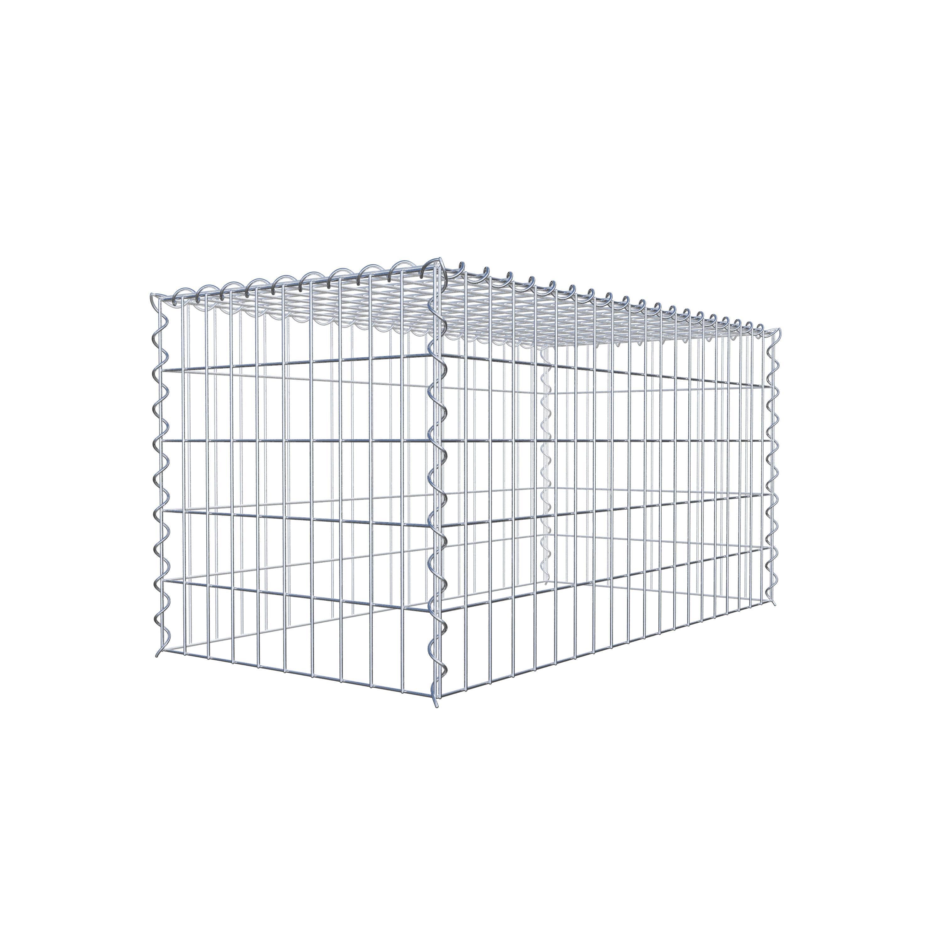 Grown-on gabion type 3 100 cm x 50 cm x 50 cm (L x H x D), mesh size 5 cm x 10 cm, spiral