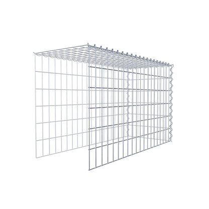 Grown-on gabion type 4 100 cm x 60 cm x 40 cm (L x H x D), mesh size 5 cm x 10 cm, spiral