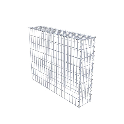 Grown-on gabion type 4 100 cm x 80 cm x 20 cm (L x H x D), mesh size 5 cm x 10 cm, spiral