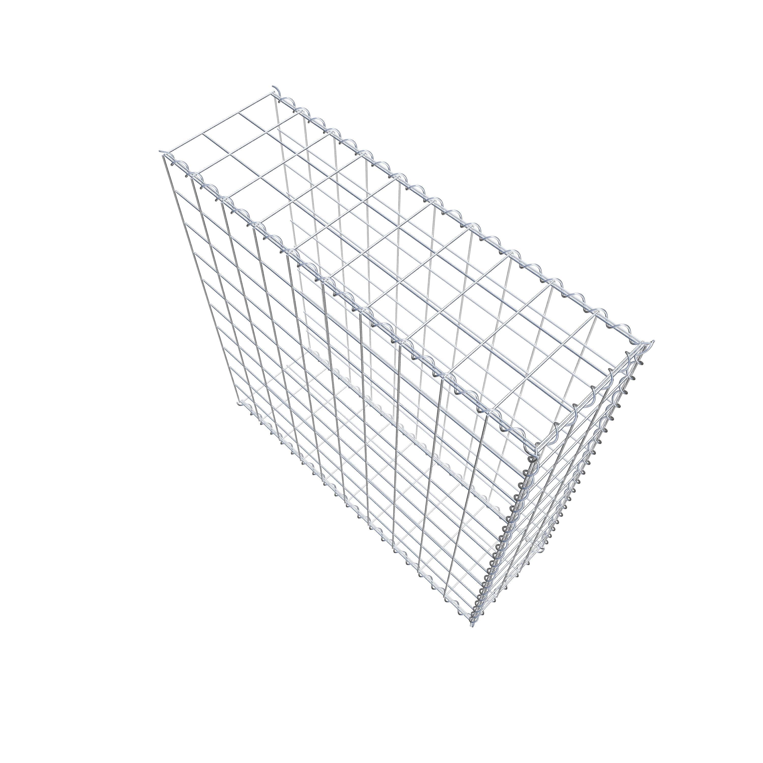 Grown-on gabion type 2 100 cm x 100 cm x 30 cm (L x H x D), mesh size 10 cm x 10 cm, spiral