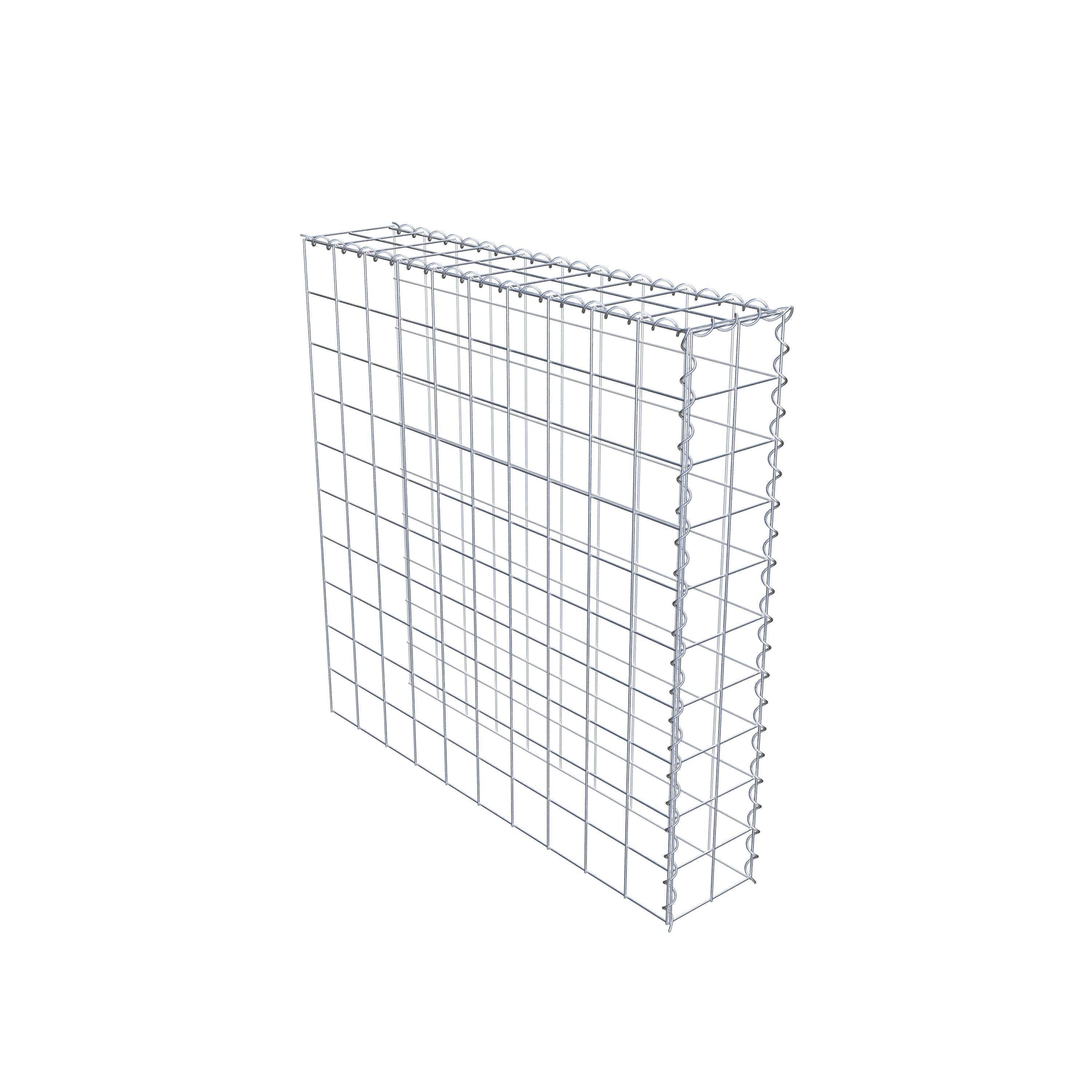 Grown-on gabion type 4 100 cm x 100 cm x 20 cm (L x H x D), mesh size 10 cm x 10 cm, spiral