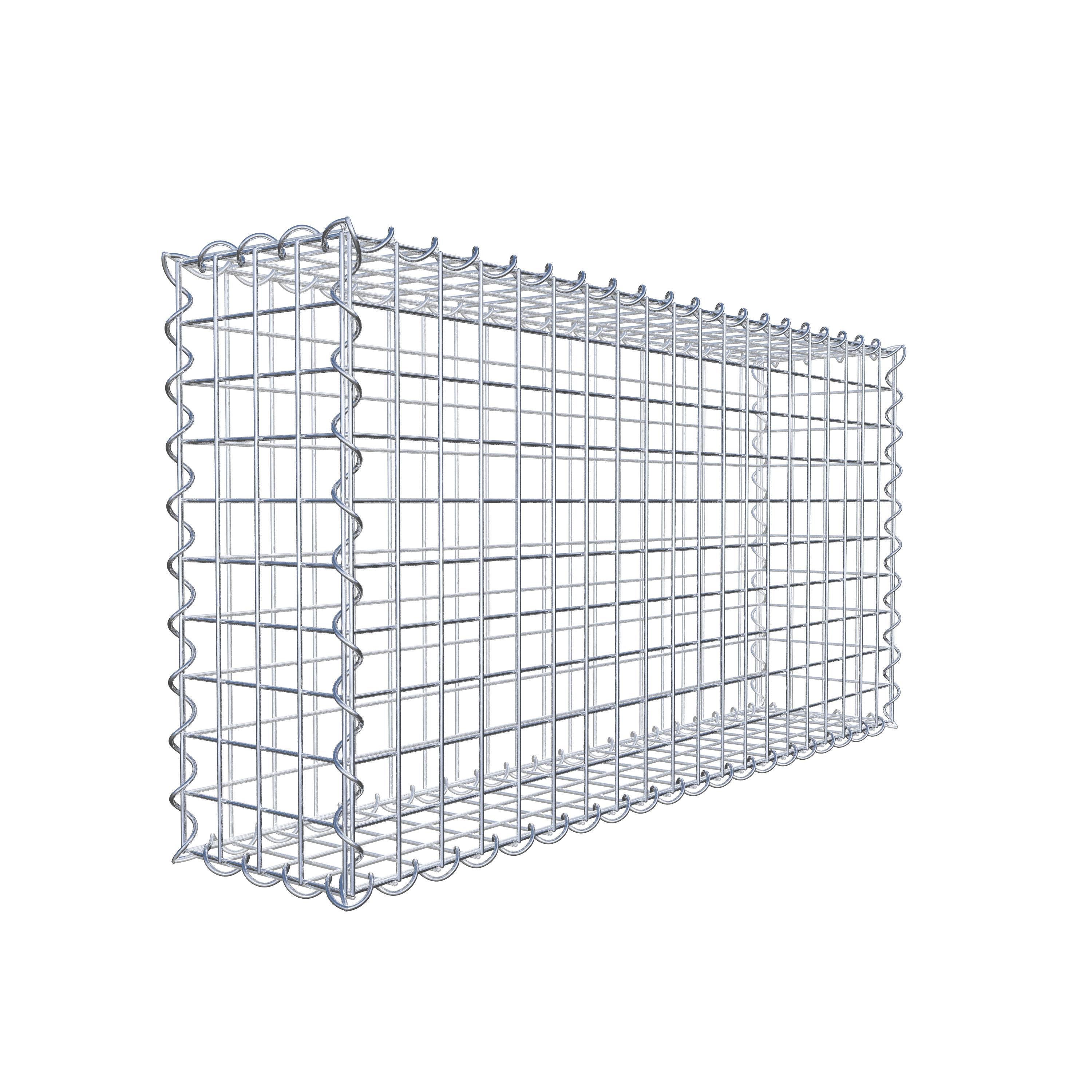 Gabion 100 cm x 50 cm x 20 cm (L x H x P), mailles 5 cm x 5 cm, spirale