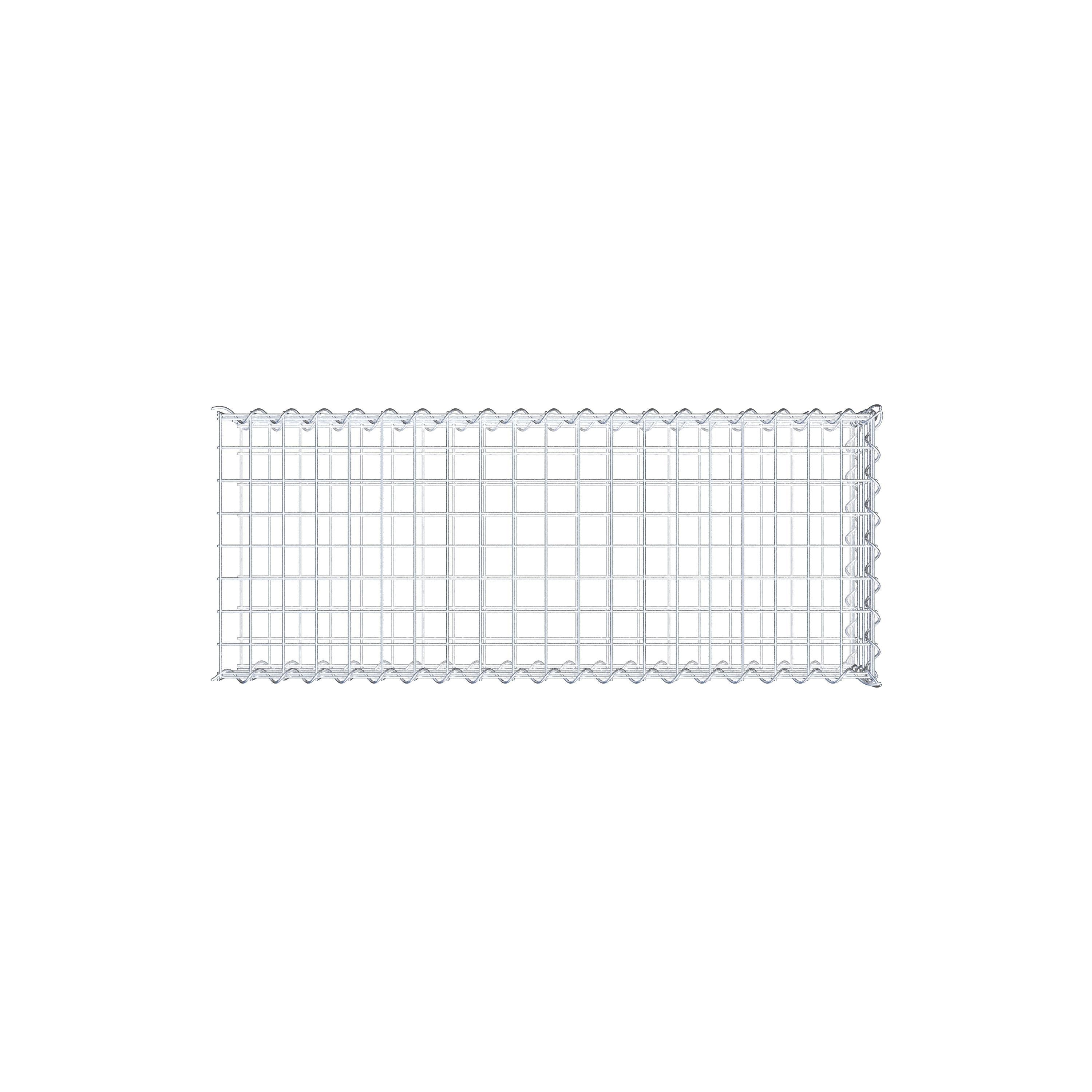 Opvokset gabion type 2 100 cm x 20 cm x 40 cm (L x H x D), maskestørrelse 5 cm x 5 cm, spiral