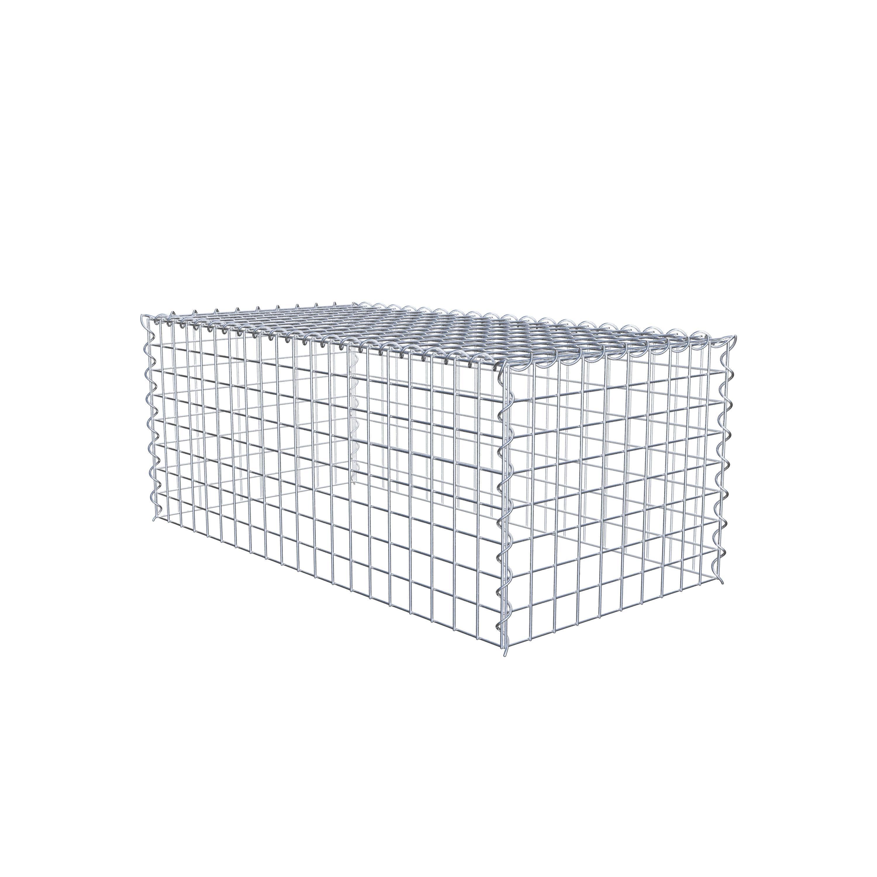 Opvokset gabion type 3 100 cm x 40 cm x 50 cm (L x H x D), maskestørrelse 5 cm x 5 cm, spiral