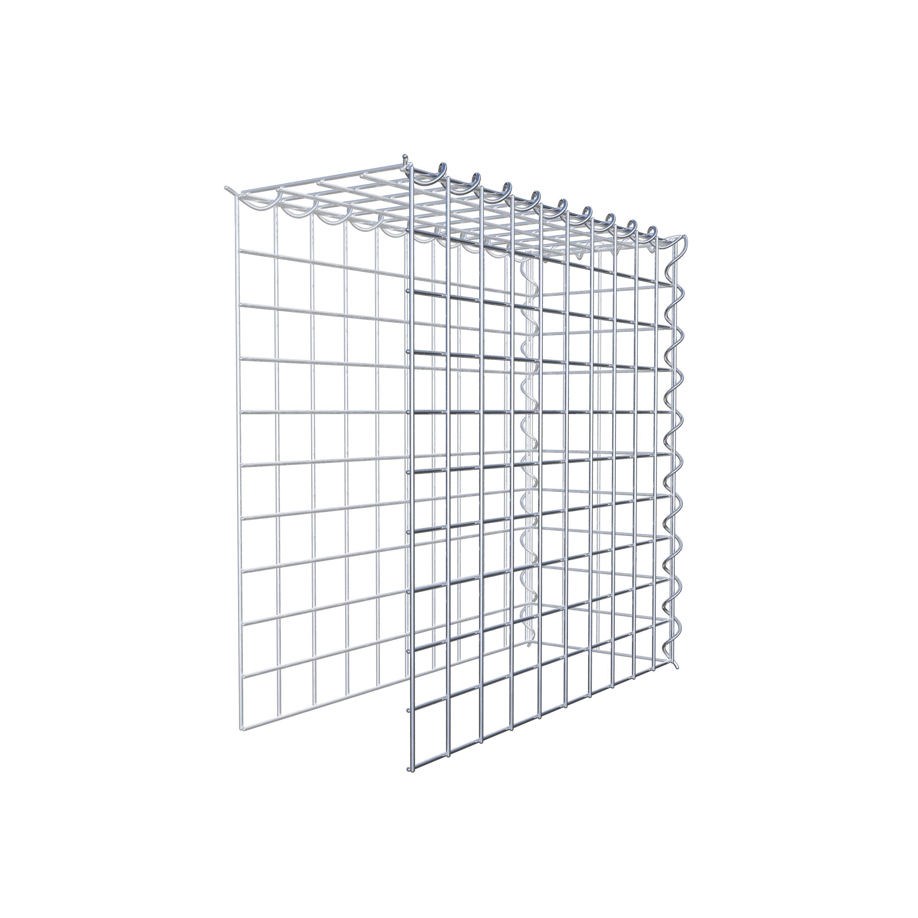 Grown-on gabion type 4 50 cm x 50 cm x 20 cm (L x H x D), mesh size 5 cm x 5 cm, spiral