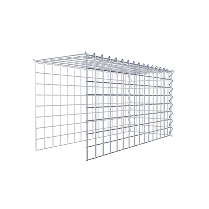 Grown-on gabion type 4 80 cm x 40 cm x 30 cm (L x H x D), mesh size 5 cm x 5 cm, spiral