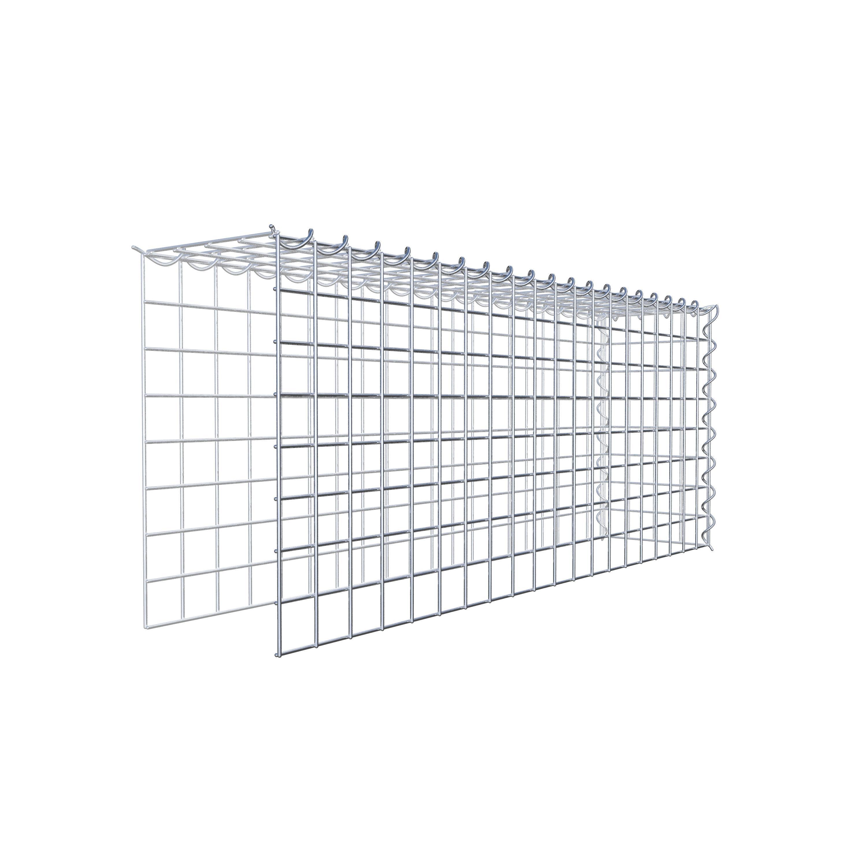 Opvokset gabion type 4 100 cm x 40 cm x 20 cm (L x H x D), maskestørrelse 5 cm x 5 cm, spiral