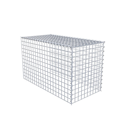 Opvokset gabion type 4 100 cm x 60 cm x 50 cm (L x H x D), maskestørrelse 5 cm x 5 cm, spiral