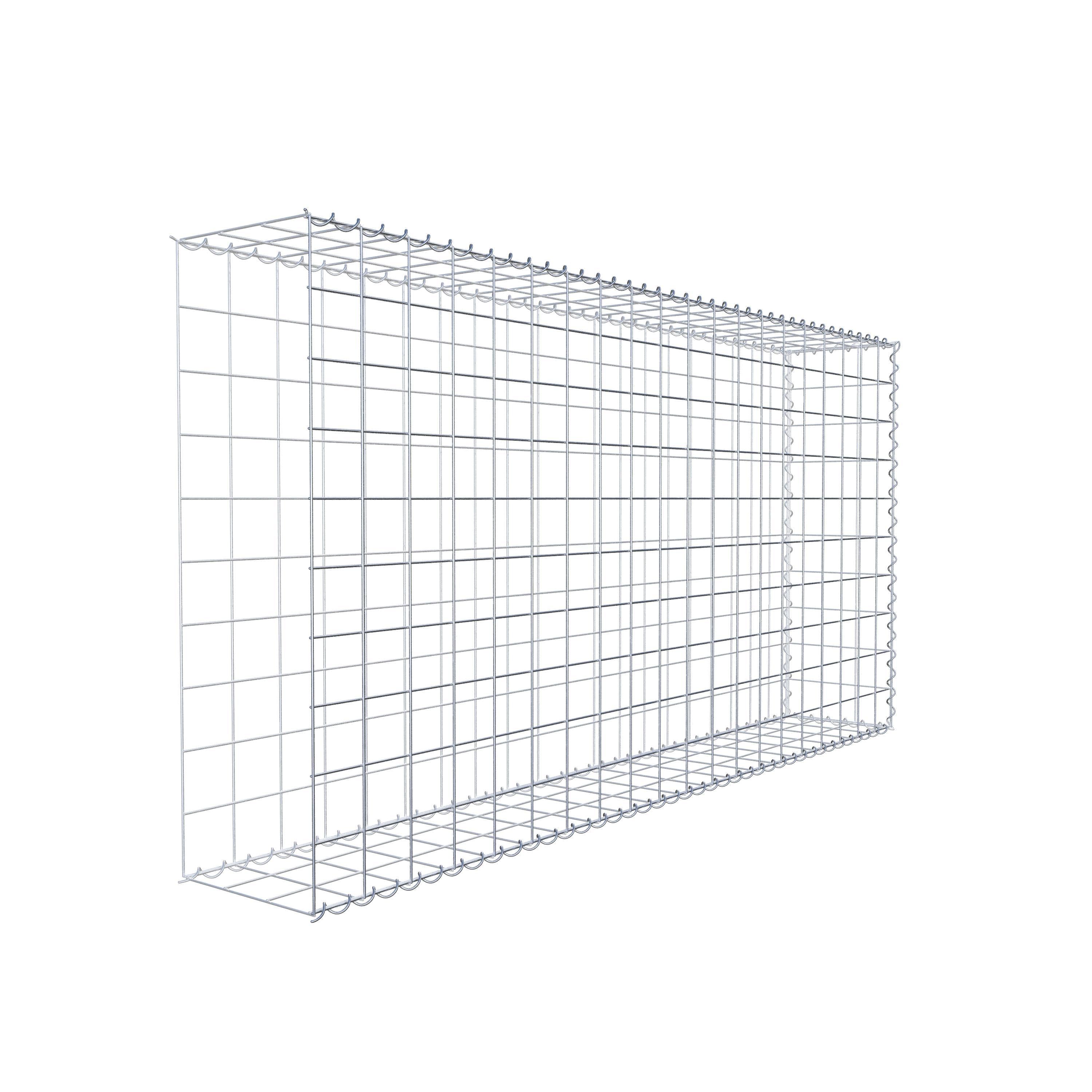 Grown-on gabion type 2 200 cm x 100 cm x 30 cm (L x H x D), mesh size 10 cm x 10 cm, spiral