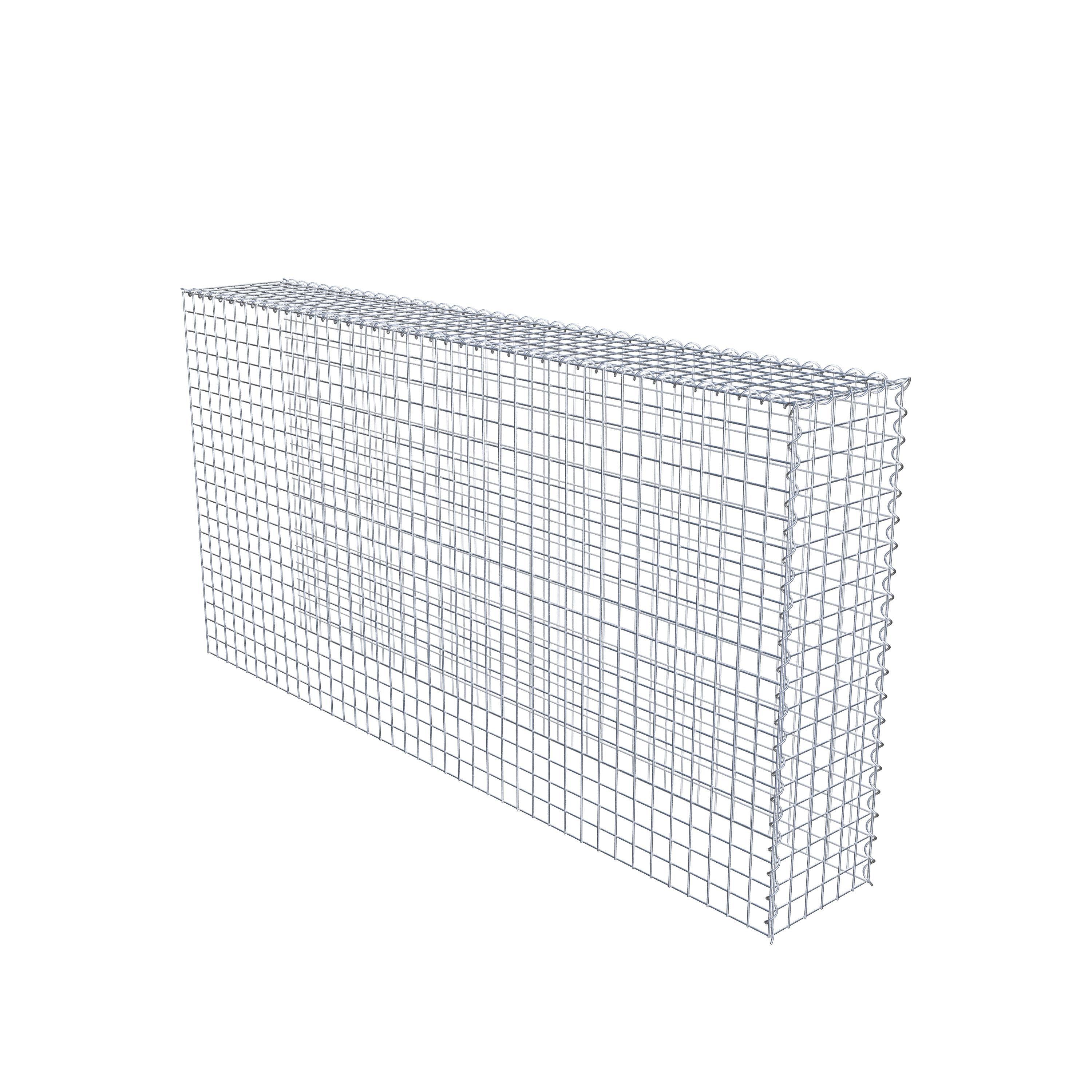 Opvokset gabion type 4 200 cm x 100 cm x 30 cm (L x H x D), maskestørrelse 5 cm x 5 cm, spiral