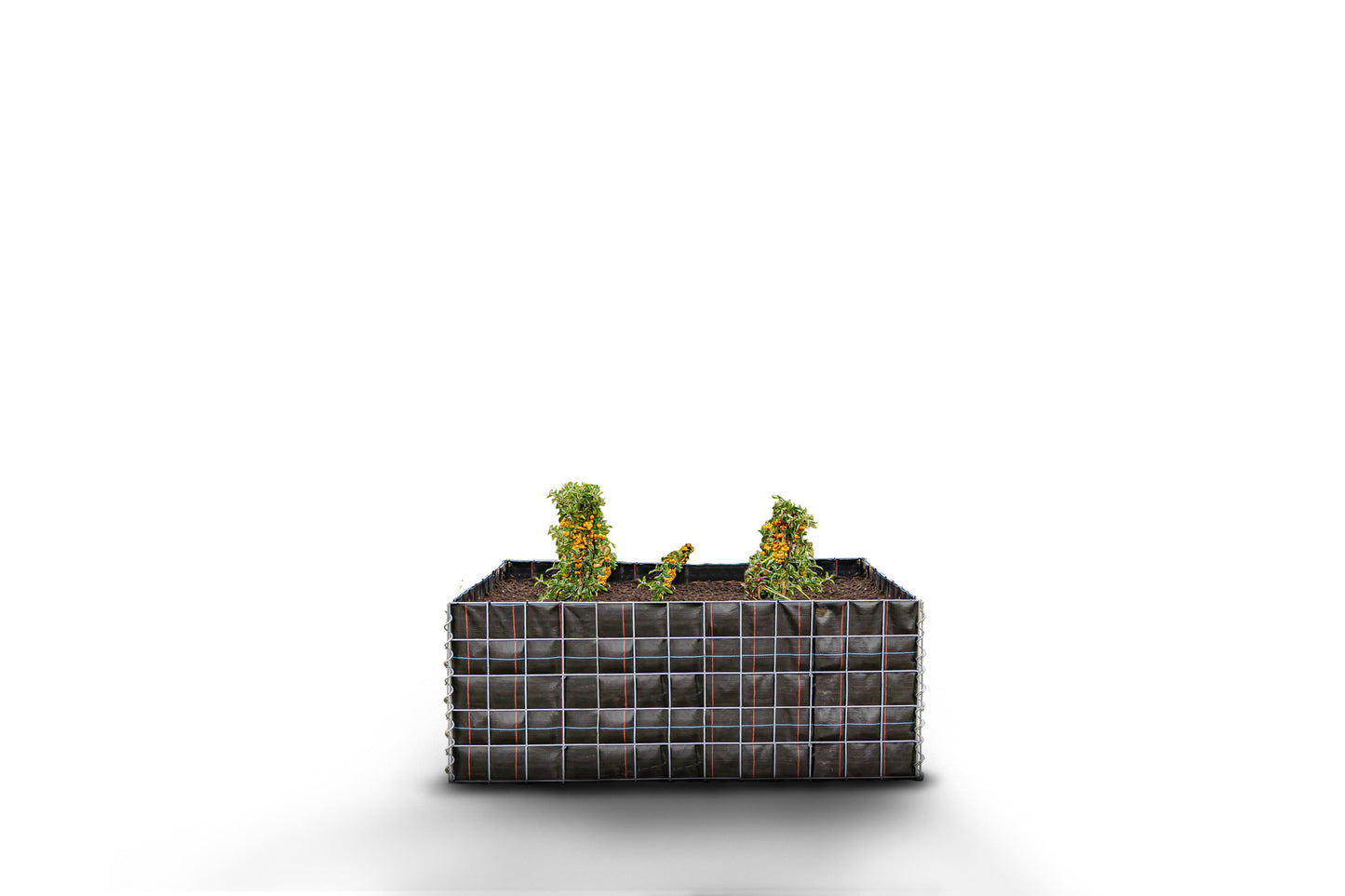 Hochbeet eckig ohne Steinbereich - Länge: 130 cm - Höhe: 50 cm - Tiefe: 80 cm - Maschenweite: 10 x 10 cm