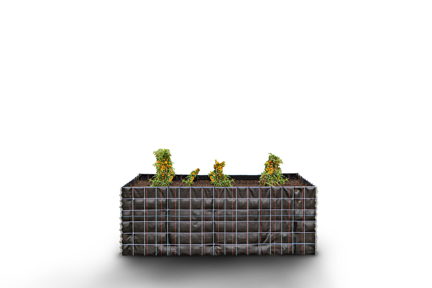 Canteiro quadrado elevado sem pedras 170 cm x 60 cm x 60 cm