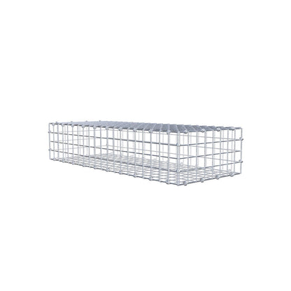 Gabion 100 cm x 20 cm x 40 cm (L x H x P), mailles 5 x 5 cm, anneau en spirale
