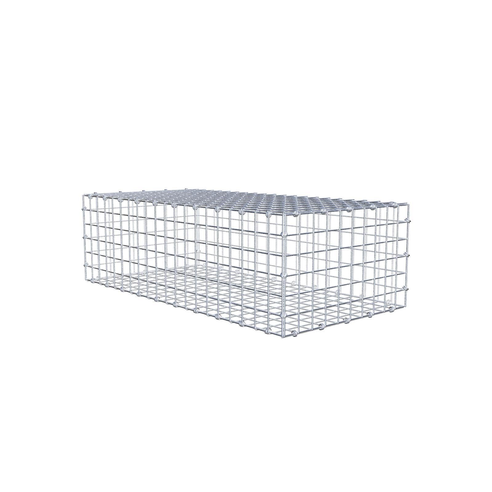 Gabion 100 cm x 30 cm x 50 cm (L x H x P), mailles 5 x 5 cm, anneau en spirale