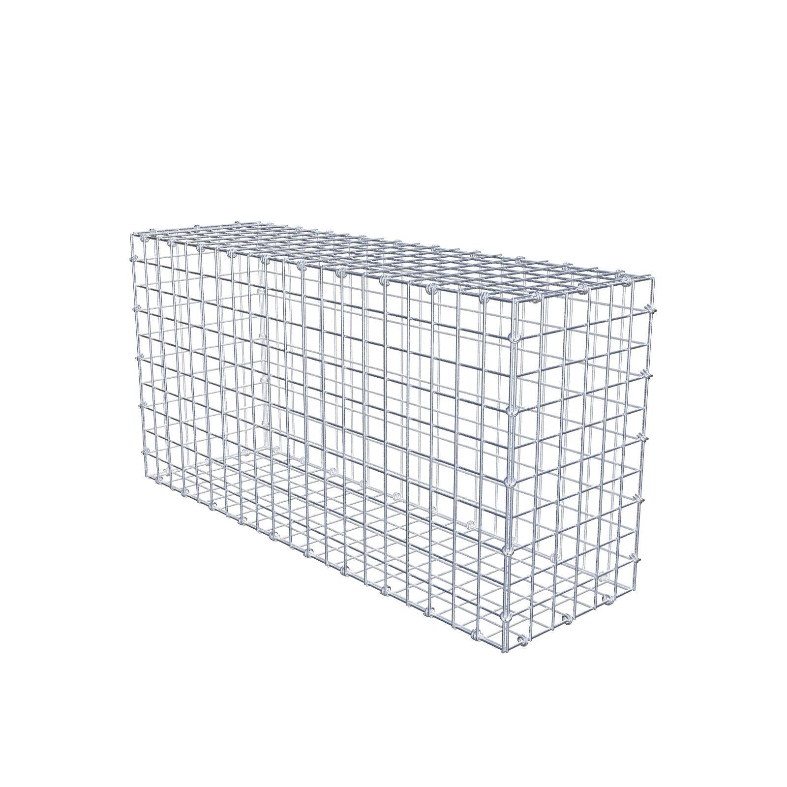 Gabion 100 cm x 50 cm x 30 cm (L x H x P), mailles 5 x 5 cm, anneau en spirale
