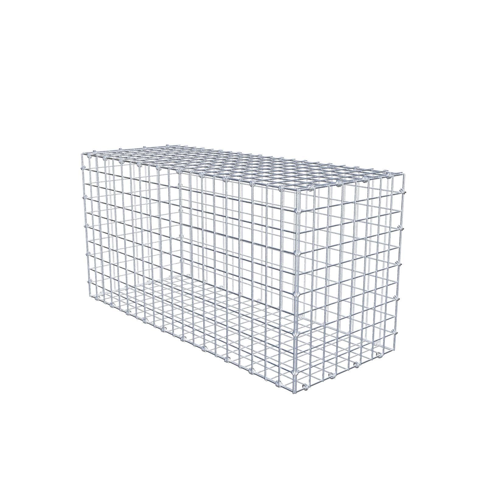 Gabion 100 cm x 50 cm x 40 cm (L x H x P), mailles 5 x 5 cm, anneau en spirale