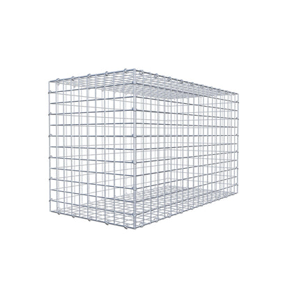 Gabion 100 cm x 60 cm x 50 cm (L x H x P), mailles 5 cm x 5 cm, anneau en C