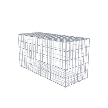 Gabion 100 cm x 50 cm x 40 cm (L x H x D), maskstorlek 5 cm x 10 cm, C-ring