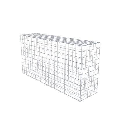 Gabion 200 cm x 100 cm x 50 cm (L x H x P), mailles 10 cm x 10 cm, anneau en C