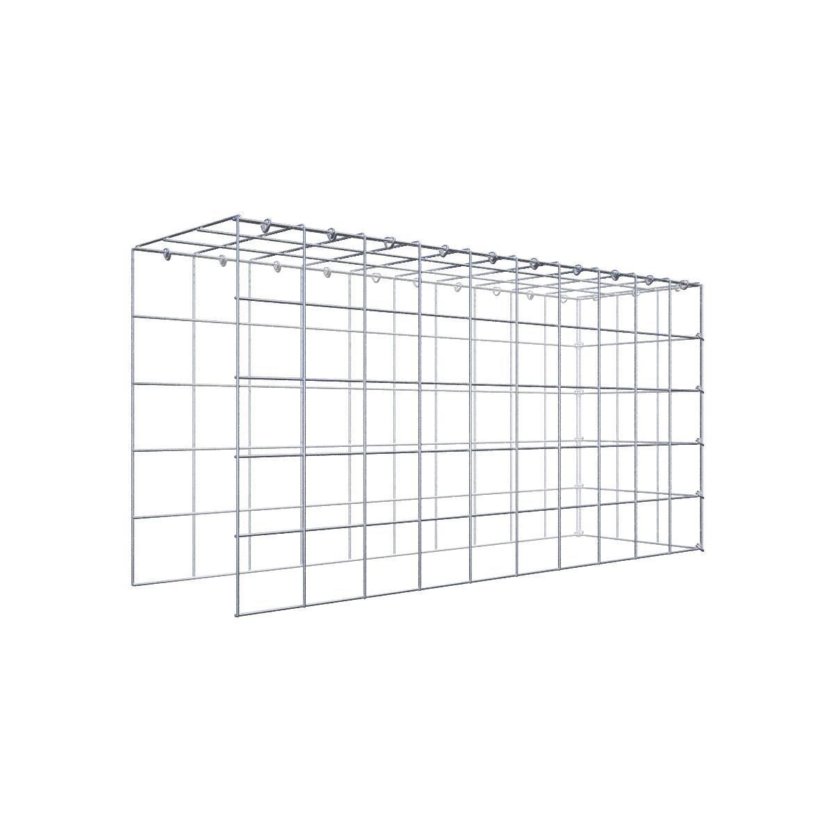 Gabione 10x10 100x050x030 Typ4 C-Ring