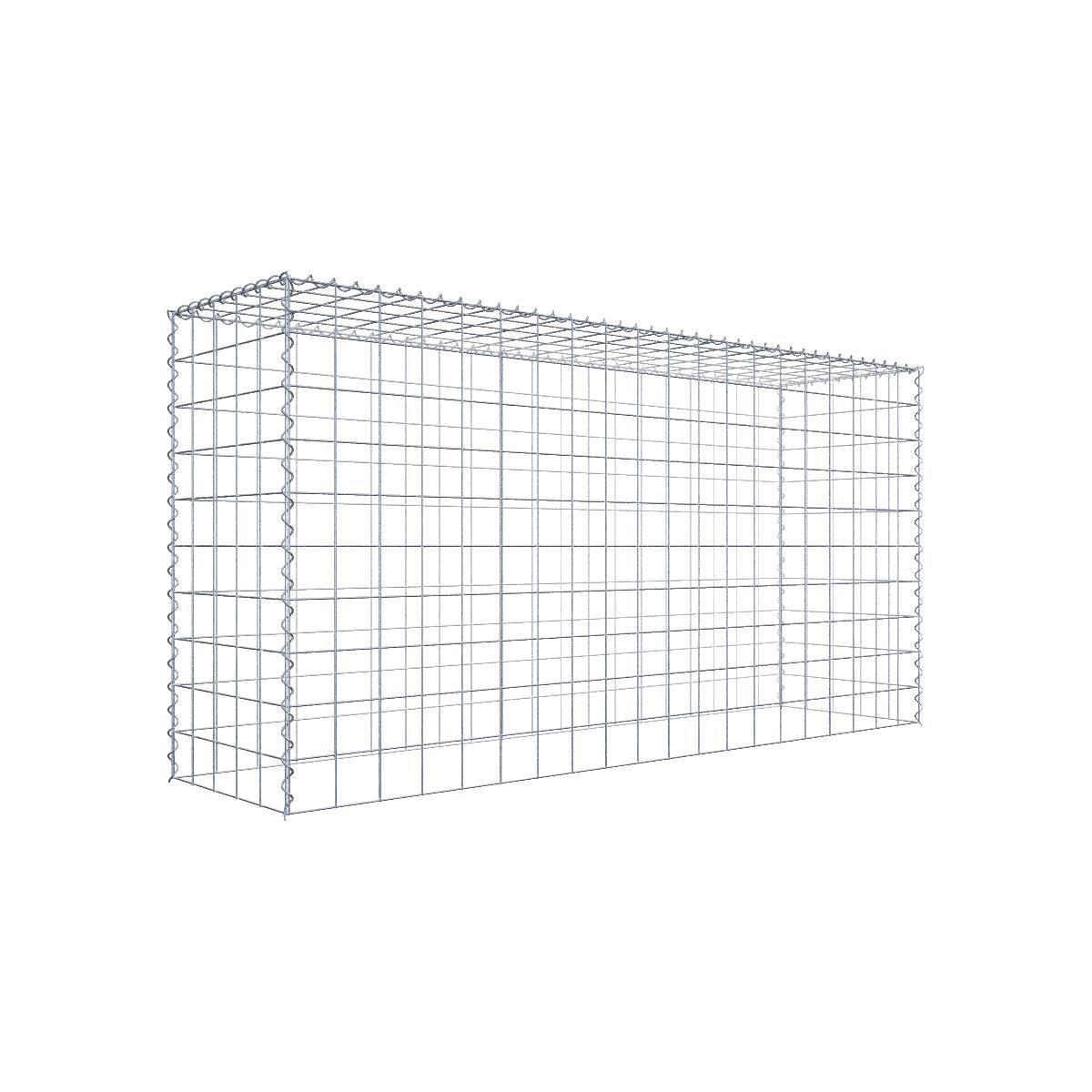 Gabione 10x10 200x100x050 Typ3 Spiral