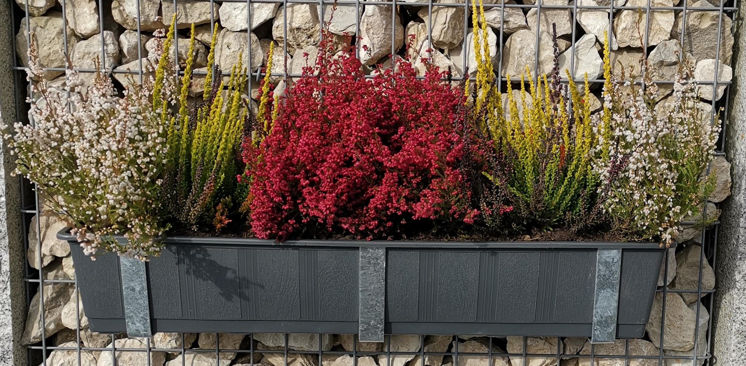 Support pour caissettes à fleurs galvanisé en set de 3 avec pot de fleurs, pour gabions MW 5 x 10