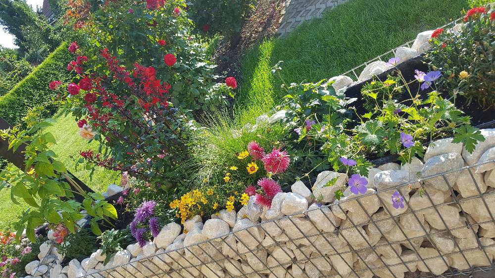 Lecho elevado de gaviones a medida - malla 5x10cm