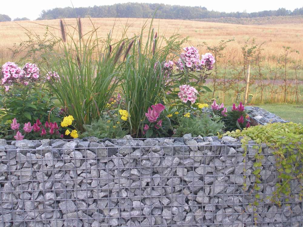 Gabion upphöjd säng gjord efter mått - maskstorlek 5x5cm