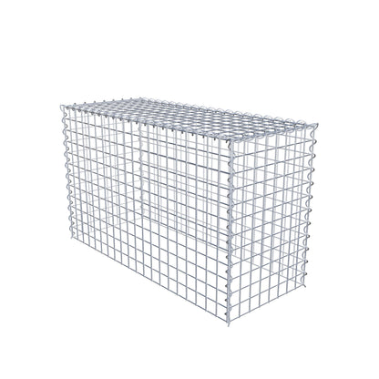 Opvokset gabion type 3 100 cm x 60 cm x 40 cm (L x H x D), maskestørrelse 5 cm x 5 cm, spiral