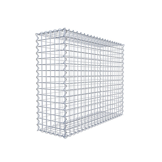Gabion 100 cm x 80 cm x 30 cm (L x H x P), mailles 5 cm x 5 cm, spirale