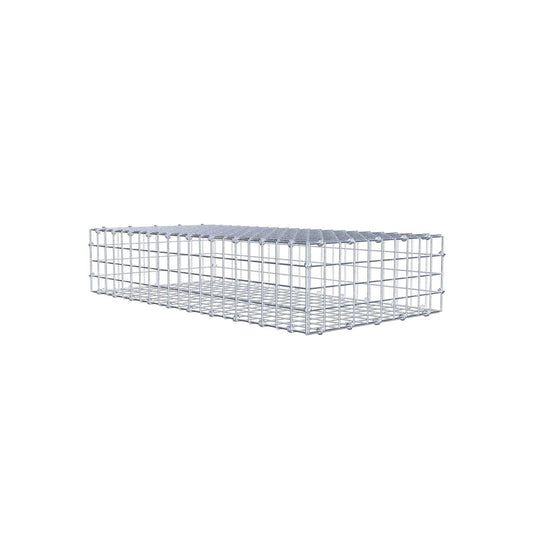 Gabion 100 cm x 20 cm x 50 cm (L x H x D), maskstorlek 5 x 5 cm, spiralring