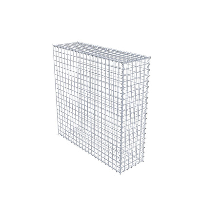 Opvokset gabion type 2 100 cm x 100 cm x 30 cm (L x H x D), maskestørrelse 5 cm x 5 cm, spiral