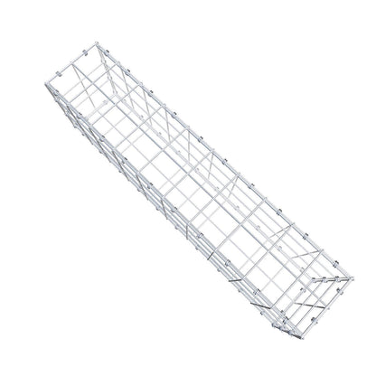 Gabbione 100 cm x 30 cm x 20 cm (L x H x P), maglia 10 x 10 cm, anello a spirale