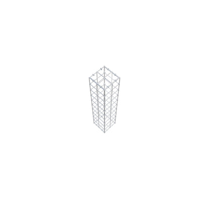 Gabion 100 cm x 20 cm x 20 cm (L x H x D), mesh size 10 cm x 10 cm, C-ring
